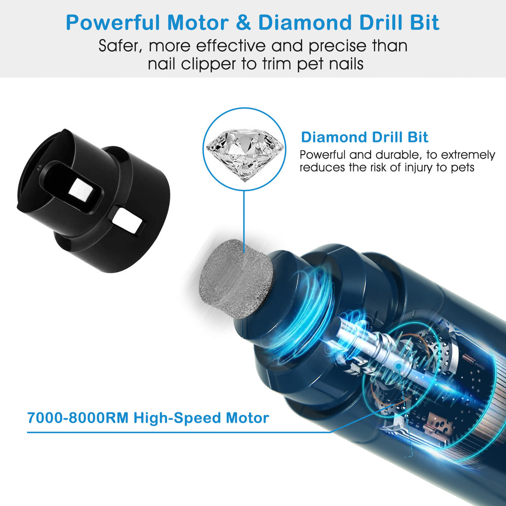 Motor